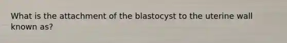 What is the attachment of the blastocyst to the uterine wall known as?