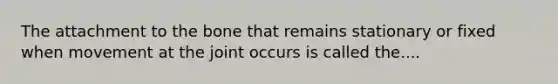 The attachment to the bone that remains stationary or fixed when movement at the joint occurs is called the....