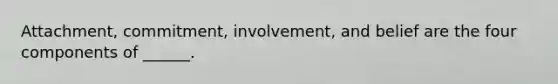 Attachment, commitment, involvement, and belief are the four components of ______.