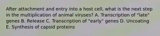 After attachment and entry into a host cell, what is the next step in the multiplication of animal viruses? A. Transcription of "late" genes B. Release C. Transcription of "early" genes D. Uncoating E. Synthesis of capsid proteins