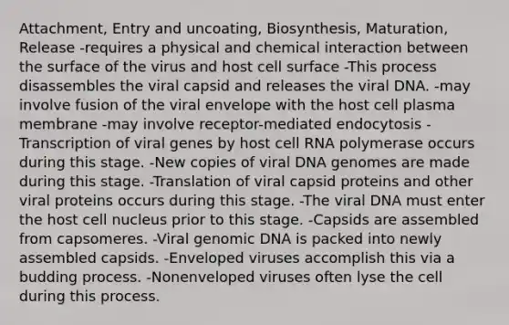 Attachment, Entry and uncoating, Biosynthesis, Maturation, Release -requires a physical and chemical interaction between the surface of the virus and host cell surface -This process disassembles the viral capsid and releases the viral DNA. -may involve fusion of the viral envelope with the host cell plasma membrane -may involve receptor-mediated endocytosis -Transcription of viral genes by host cell RNA polymerase occurs during this stage. -New copies of viral DNA genomes are made during this stage. -Translation of viral capsid proteins and other viral proteins occurs during this stage. -The viral DNA must enter the host <a href='https://www.questionai.com/knowledge/ksZq6y1LRD-cell-nucleus' class='anchor-knowledge'>cell nucleus</a> prior to this stage. -Capsids are assembled from capsomeres. -Viral genomic DNA is packed into newly assembled capsids. -Enveloped viruses accomplish this via a budding process. -Nonenveloped viruses often lyse the cell during this process.