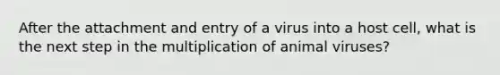 After the attachment and entry of a virus into a host cell, what is the next step in the multiplication of animal viruses?