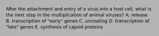 After the attachment and entry of a virus into a host cell, what is the next step in the multiplication of animal viruses? A. release B. transcription of "early" genes C. uncoating D. transcription of "late" genes E. synthesis of capsid proteins