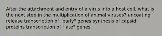 After the attachment and entry of a virus into a host cell, what is the next step in the multiplication of animal viruses? uncoating release transcription of "early" genes synthesis of capsid proteins transcription of "late" genes