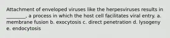 Attachment of enveloped viruses like the herpesviruses results in ________, a process in which the host cell facilitates viral entry. a. membrane fusion b. exocytosis c. direct penetration d. lysogeny e. endocytosis