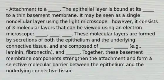 - Attachment to a _____. The epithelial layer is bound at its _____ to a thin basement membrane. It may be seen as a single noncellular layer using the light microscope—however, it consists of 3 molecular layers that can be viewed using an electron microscope: _____, ____, ____. These molecular layers are formed by secretions of both the epithelium and the underlying <a href='https://www.questionai.com/knowledge/kYDr0DHyc8-connective-tissue' class='anchor-knowledge'>connective tissue</a>, and are composed of _____, ______ (e.g., laminin, fibronectin), and ______. Together, these basement membrane components strengthen the attachment and form a selective molecular barrier between the epithelium and the underlying connective tissue.