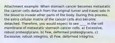 Attachment example: When stomach cancer becomes metastatic the cancer cells detach from the original tumor and travel solo in the blood to invade other parts of the body. During this process, the extra cellular matrix of the cancer cells also become detached. Therefore, you would expect to see ____ in the cell membrane of metastatic stomach cancer cells. a) Excessive, robust proteoglycans. b) Few, deformed proteoglycans. c) Excessive, robust integrins. d) Few, deformed integrins.