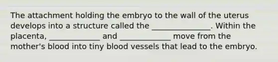 The attachment holding the embryo to the wall of the uterus develops into a structure called the _______________. Within the placenta, _____________ and _____________ move from the mother's blood into tiny blood vessels that lead to the embryo.