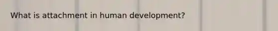 What is attachment in human development?