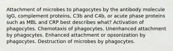 Attachment of microbes to phagocytes by the antibody molecule IgG, complement proteins, C3b and C4b, or acute phase proteins such as MBL and CRP best describes what? Activation of phagocytes. Chemotaxis of phagocytes. Unenhanced attachment by phagocytes. Enhanced attachment or opsonization by phagocytes. Destruction of microbes by phagocytes.