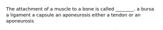 The attachment of a muscle to a bone is called ________. a bursa a ligament a capsule an aponeurosis either a tendon or an aponeurosis