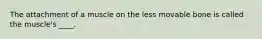 The attachment of a muscle on the less movable bone is called the muscle's ____.