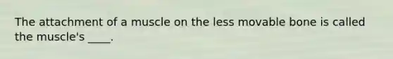 The attachment of a muscle on the less movable bone is called the muscle's ____.