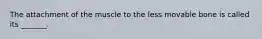 The attachment of the muscle to the less movable bone is called its _______.
