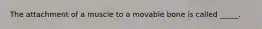 The attachment of a muscle to a movable bone is called _____.