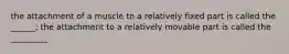 the attachment of a muscle to a relatively fixed part is called the ______; the attachment to a relatively movable part is called the _________