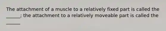 The attachment of a muscle to a relatively fixed part is called the ______; the attachment to a relatively moveable part is called the ______