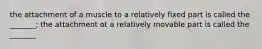 the attachment of a muscle to a relatively fixed part is called the _______; the attachment ot a relatively movable part is called the _______