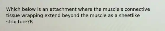 Which below is an attachment where the muscle's connective tissue wrapping extend beyond the muscle as a sheetlike structure?R