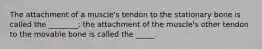 The attachment of a muscle's tendon to the stationary bone is called the ________; the attachment of the muscle's other tendon to the movable bone is called the _____.