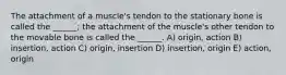 The attachment of a muscle's tendon to the stationary bone is called the ______; the attachment of the muscle's other tendon to the movable bone is called the ______. A) origin, action B) insertion, action C) origin, insertion D) insertion, origin E) action, origin