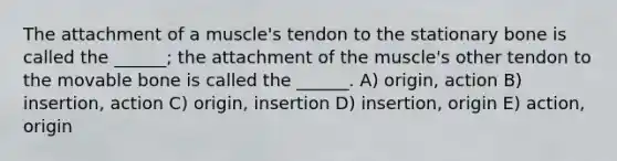 The attachment of a muscle's tendon to the stationary bone is called the ______; the attachment of the muscle's other tendon to the movable bone is called the ______. A) origin, action B) insertion, action C) origin, insertion D) insertion, origin E) action, origin