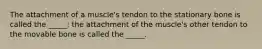 The attachment of a muscle's tendon to the stationary bone is called the _____; the attachment of the muscle's other tendon to the movable bone is called the _____.