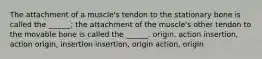 The attachment of a muscle's tendon to the stationary bone is called the ______; the attachment of the muscle's other tendon to the movable bone is called the ______. origin, action insertion, action origin, insertion insertion, origin action, origin