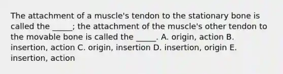 The attachment of a muscle's tendon to the stationary bone is called the _____; the attachment of the muscle's other tendon to the movable bone is called the _____. A. origin, action B. insertion, action C. origin, insertion D. insertion, origin E. insertion, action