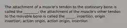 The attachment of a muscle's tendon to the stationary bone is called the ________; the attachment of the muscle's other tendon to the movable bone is called the _____. insertion, origin insertion, action origin, action origin, insertion