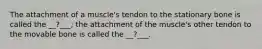 The attachment of a muscle's tendon to the stationary bone is called the __?___; the attachment of the muscle's other tendon to the movable bone is called the __?___.