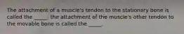 The attachment of a muscle's tendon to the stationary bone is called the _____; the attachment of the muscle's other tendon to the movable bone is called the _____.