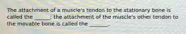 The attachment of a muscle's tendon to the stationary bone is called the ______; the attachment of the muscle's other tendon to the movable bone is called the _______.