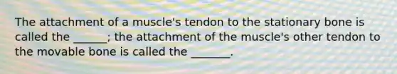 The attachment of a muscle's tendon to the stationary bone is called the ______; the attachment of the muscle's other tendon to the movable bone is called the _______.