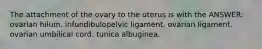 The attachment of the ovary to the uterus is with the ANSWER: ovarian hilum. infundibulopelvic ligament. ovarian ligament. ovarian umbilical cord. tunica albuginea.