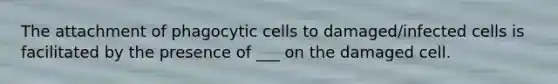 The attachment of phagocytic cells to damaged/infected cells is facilitated by the presence of ___ on the damaged cell.