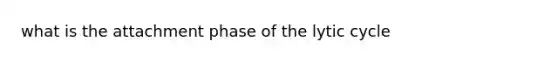 what is the attachment phase of the lytic cycle