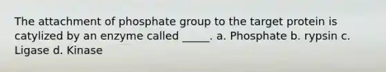 The attachment of phosphate group to the target protein is catylized by an enzyme called _____. a. Phosphate b. rypsin c. Ligase d. Kinase