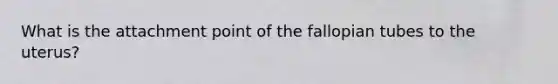 What is the attachment point of the fallopian tubes to the uterus?