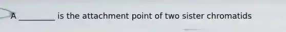 A _________ is the attachment point of two sister chromatids