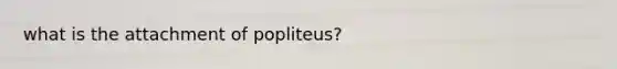 what is the attachment of popliteus?