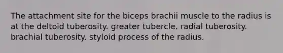 The attachment site for the biceps brachii muscle to the radius is at the deltoid tuberosity. greater tubercle. radial tuberosity. brachial tuberosity. styloid process of the radius.