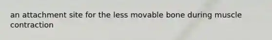 an attachment site for the less movable bone during muscle contraction