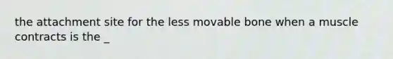 the attachment site for the less movable bone when a muscle contracts is the _