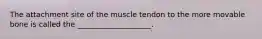 The attachment site of the muscle tendon to the more movable bone is called the ____________________.