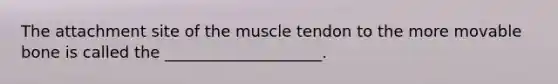 The attachment site of the muscle tendon to the more movable bone is called the ____________________.