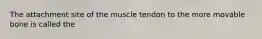 The attachment site of the muscle tendon to the more movable bone is called the