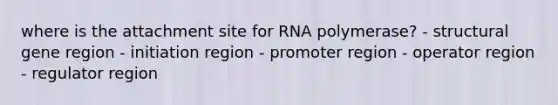 where is the attachment site for RNA polymerase? - structural gene region - initiation region - promoter region - operator region - regulator region