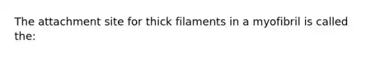 The attachment site for thick filaments in a myofibril is called the: