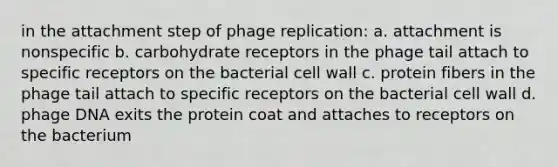 in the attachment step of phage replication: a. attachment is nonspecific b. carbohydrate receptors in the phage tail attach to specific receptors on the bacterial cell wall c. protein fibers in the phage tail attach to specific receptors on the bacterial cell wall d. phage DNA exits the protein coat and attaches to receptors on the bacterium